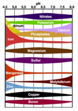 pH Chart
